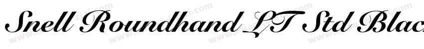 Snell Roundhand LT Std Black Script字体转换